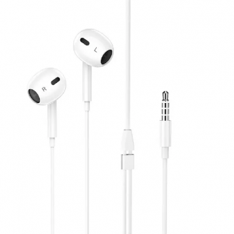 Earphones