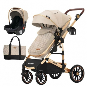 Baby Travel Gear