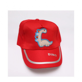 Hats & Caps