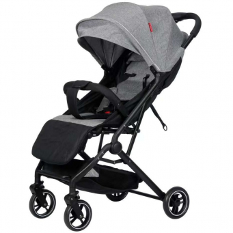 Baby Travel Gear