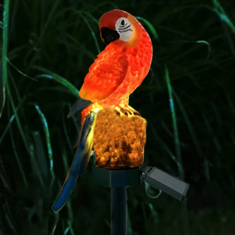 Outdoor Lighting