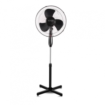 Fans
